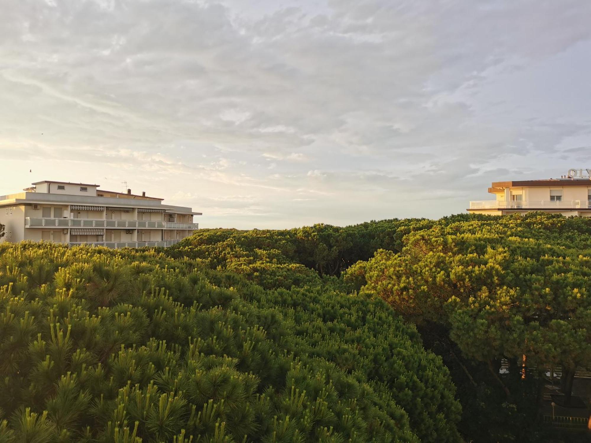 Hotel Pine Beach ロゾリーナ・マーレ エクステリア 写真